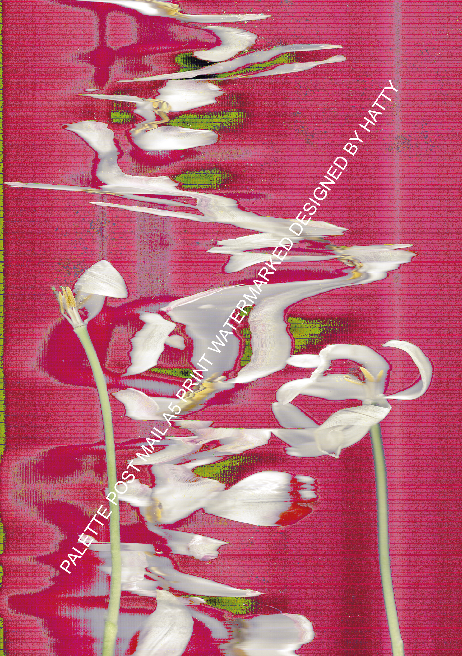 Tulips Watermarked.png