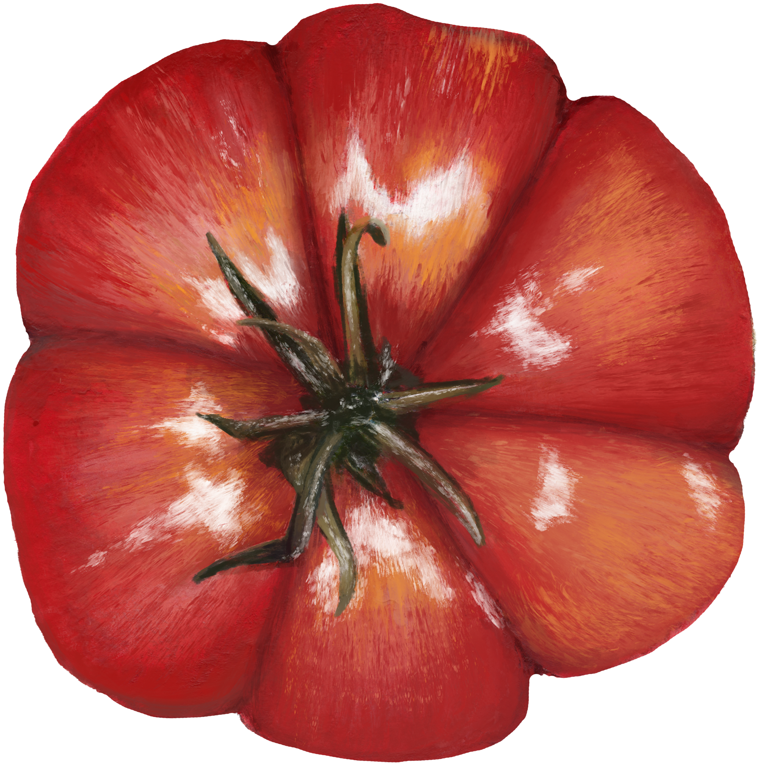 Tomato Magnet Final.png