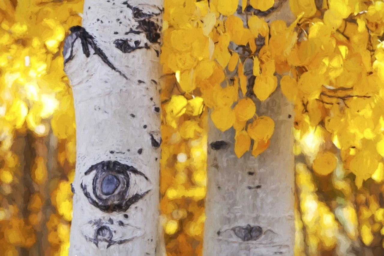 aspen.jpg