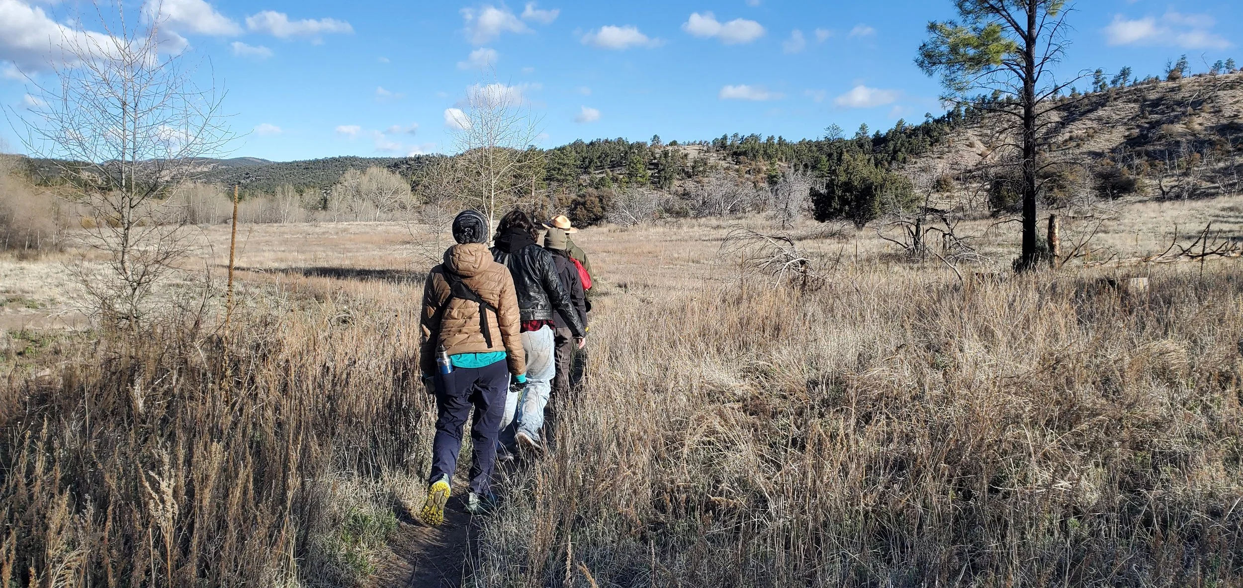 Cliff Dwellings: Bird Outing and Trail Work
