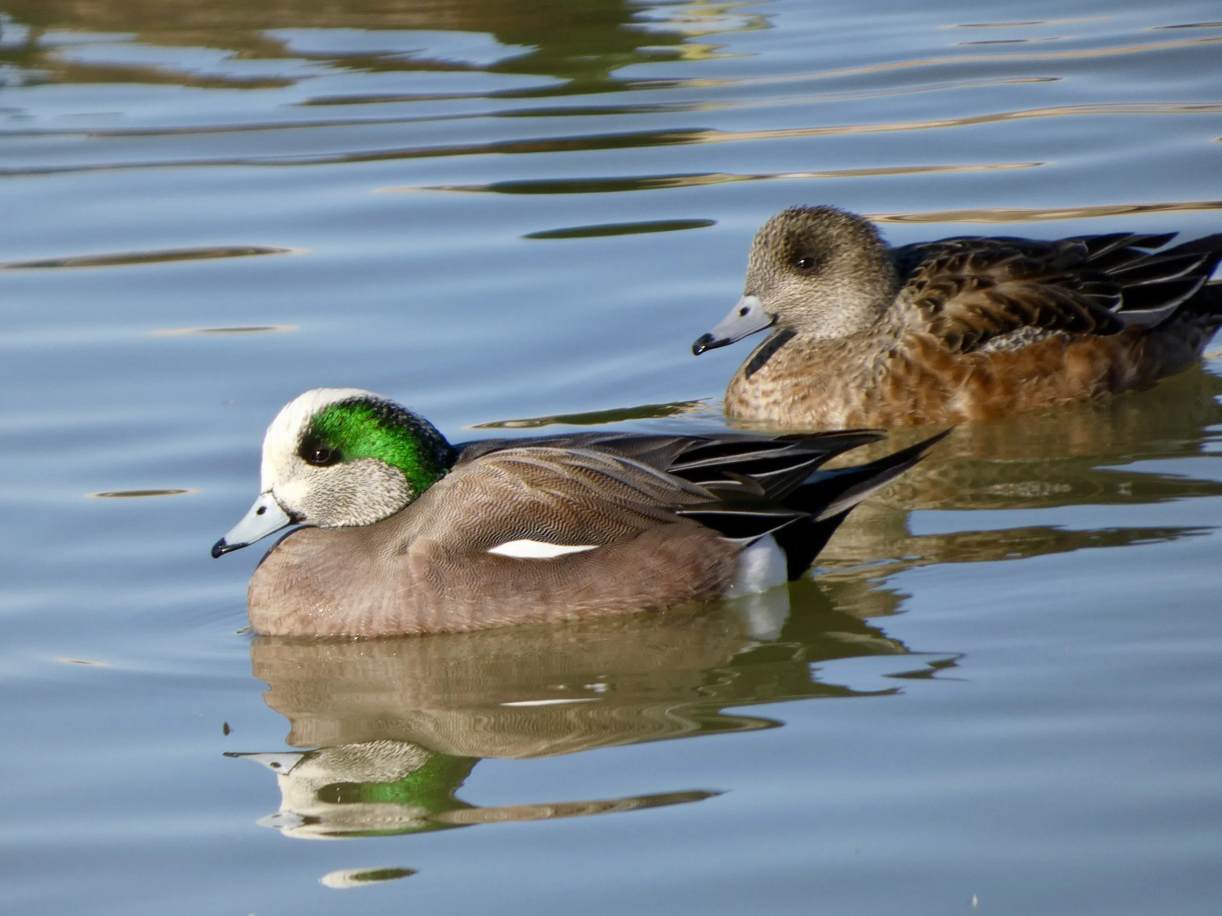 Lake Roberts Field Trip