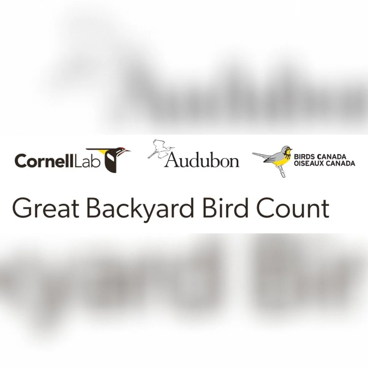 Great Backyard Bird Count