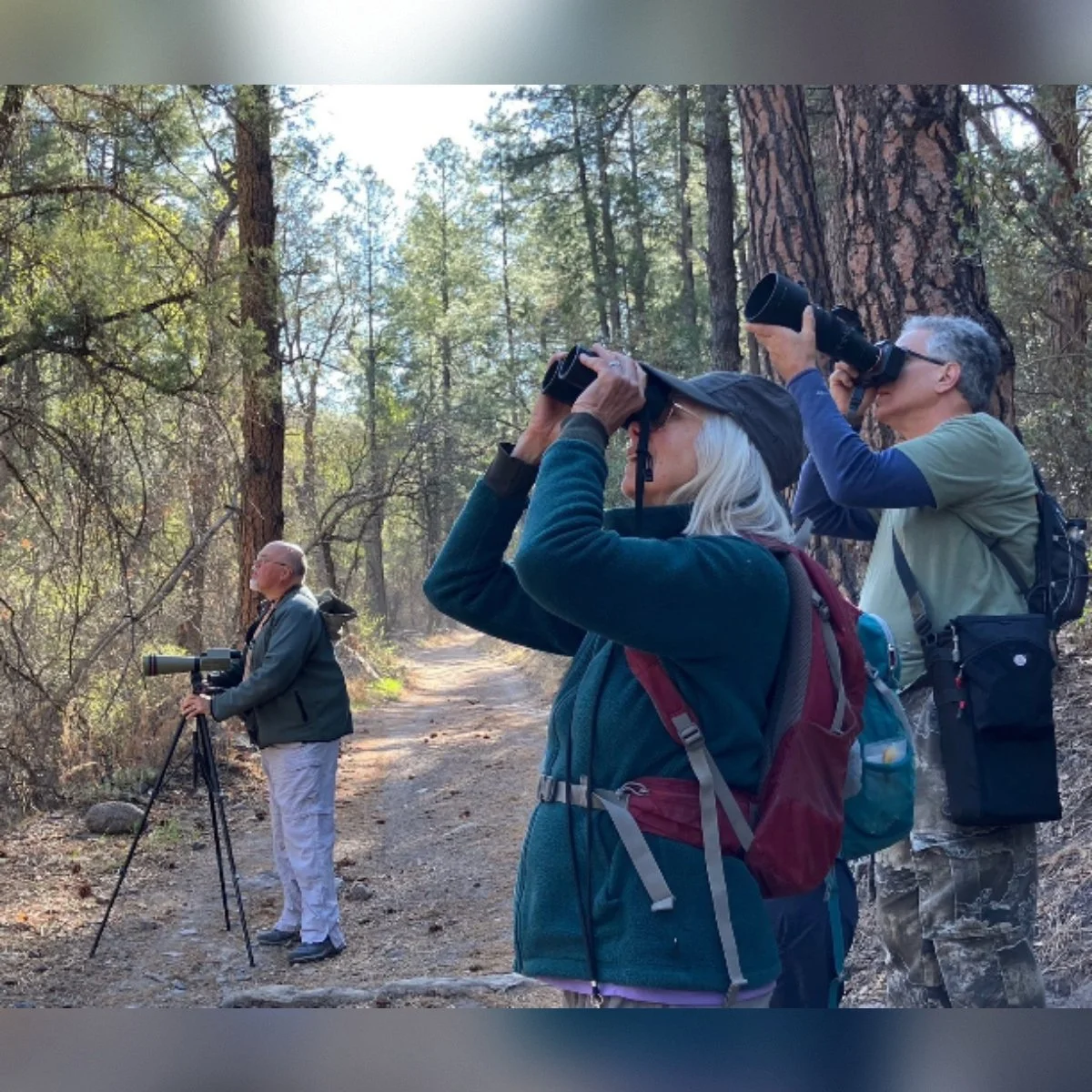 The Silver City Bird Census Project: Your Help Needed!
