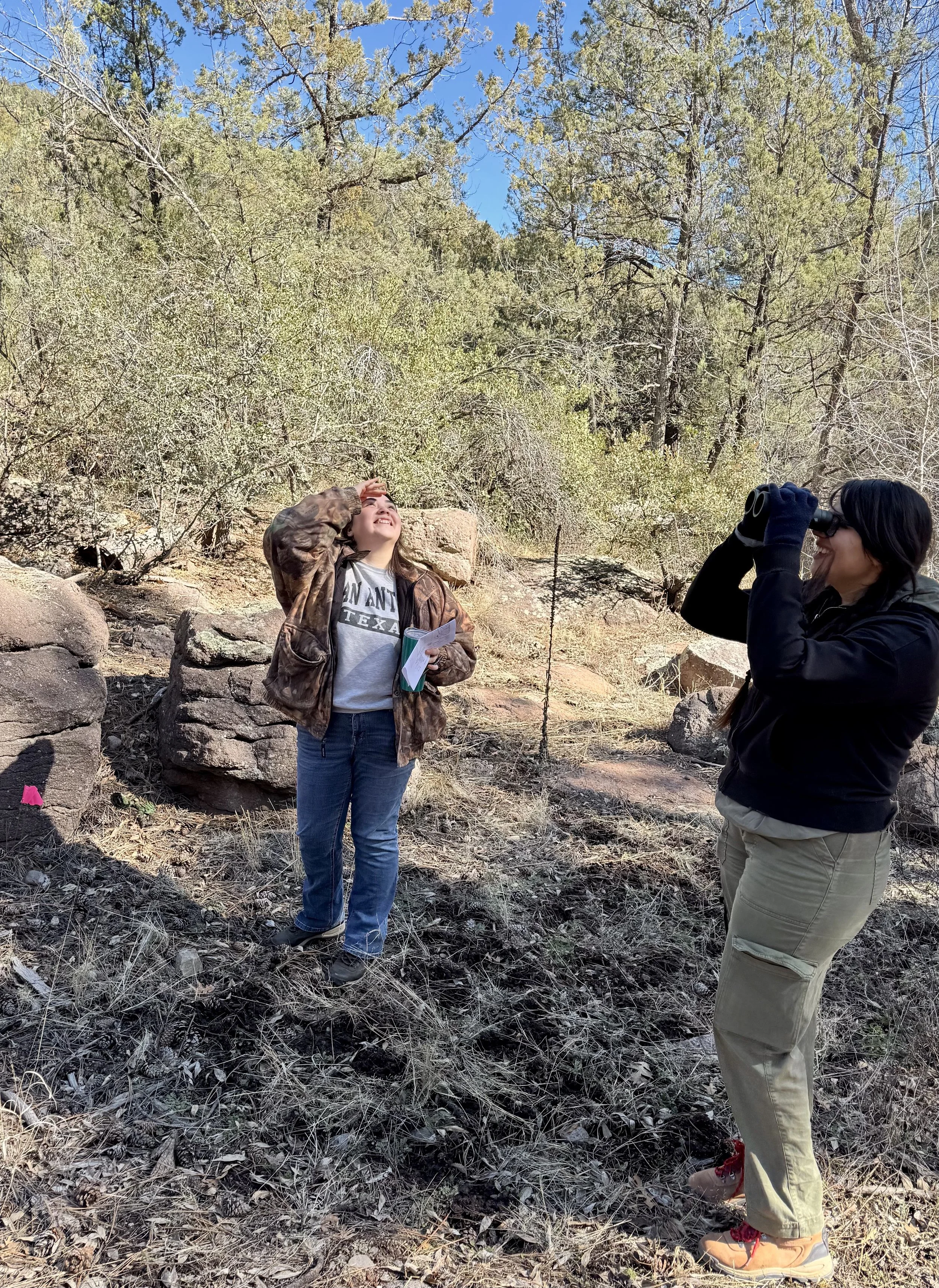 Silver City Bird Census is Under Way!