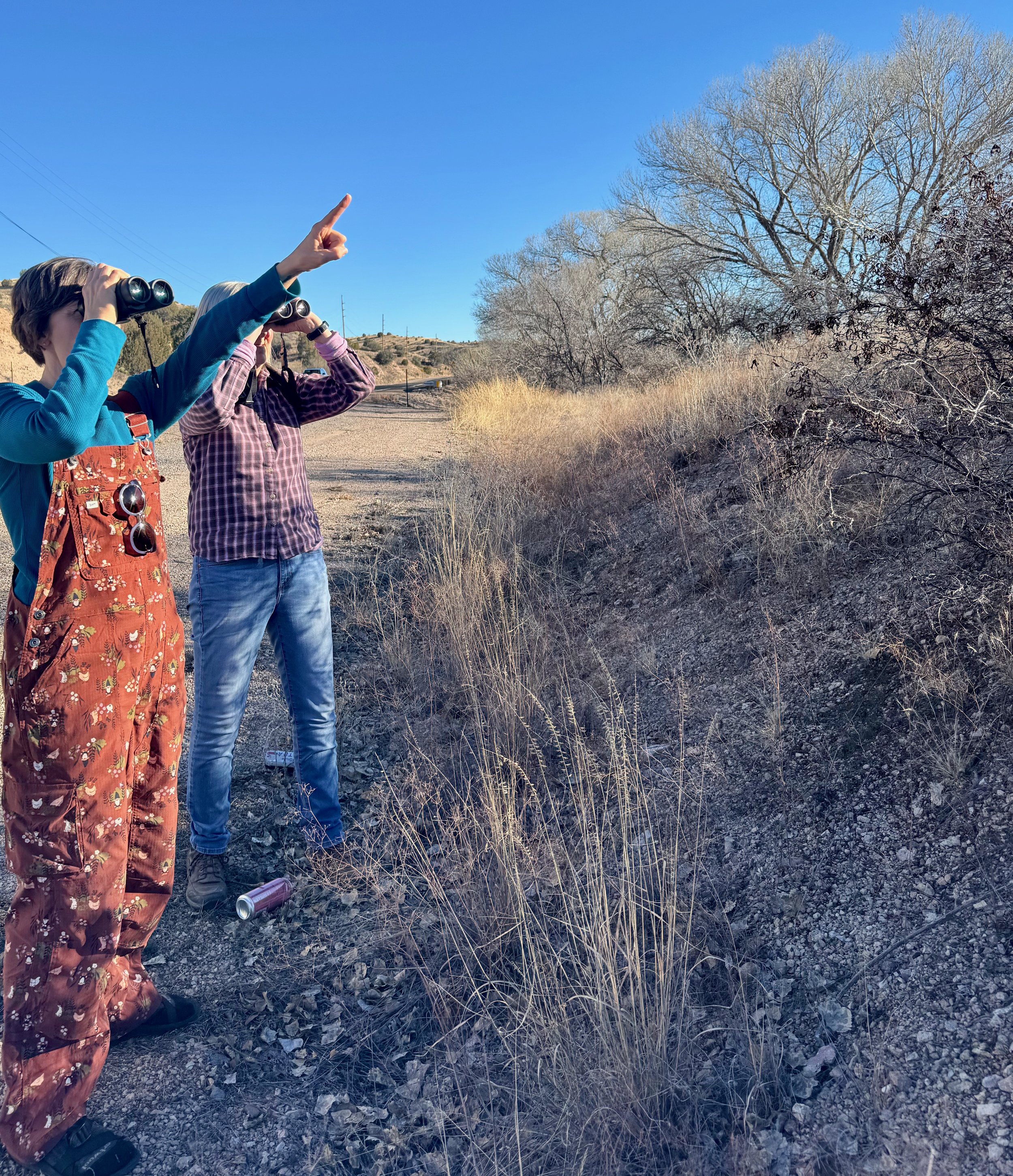 Winter Raptor Survey