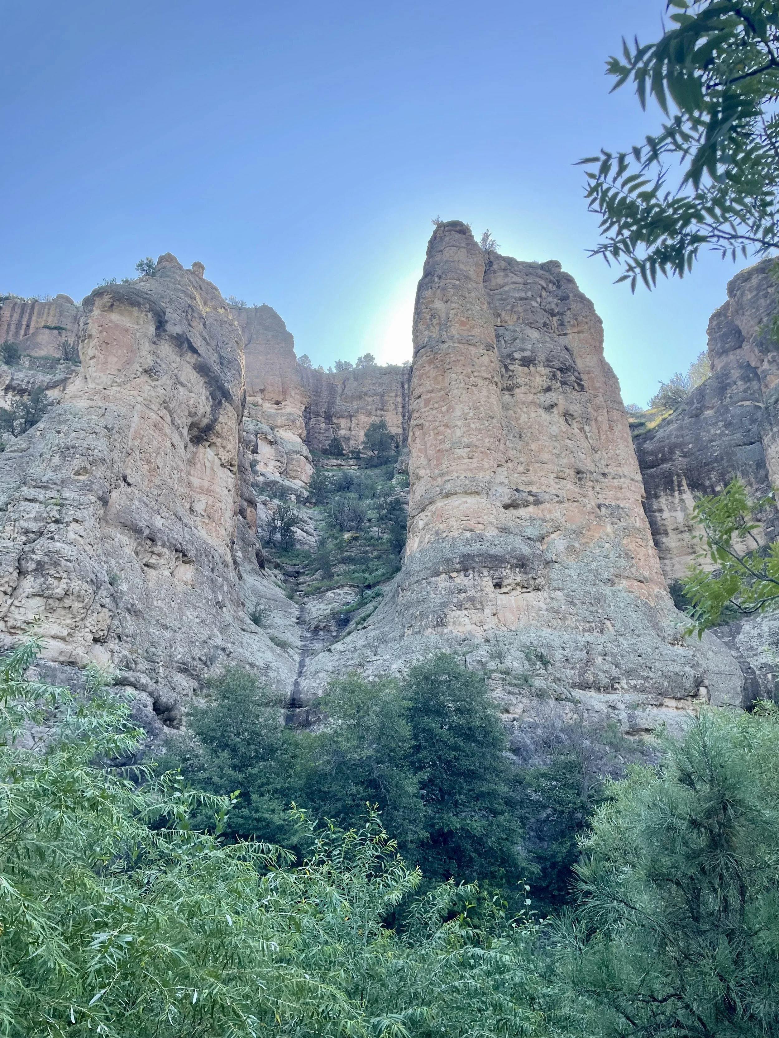 CONSERVATION IS KEY: Updates