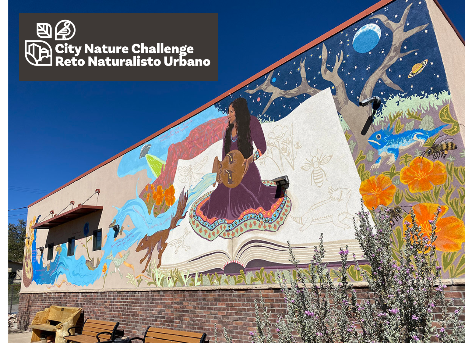 City Nature Challenge: Bayard Biodiversity Fest