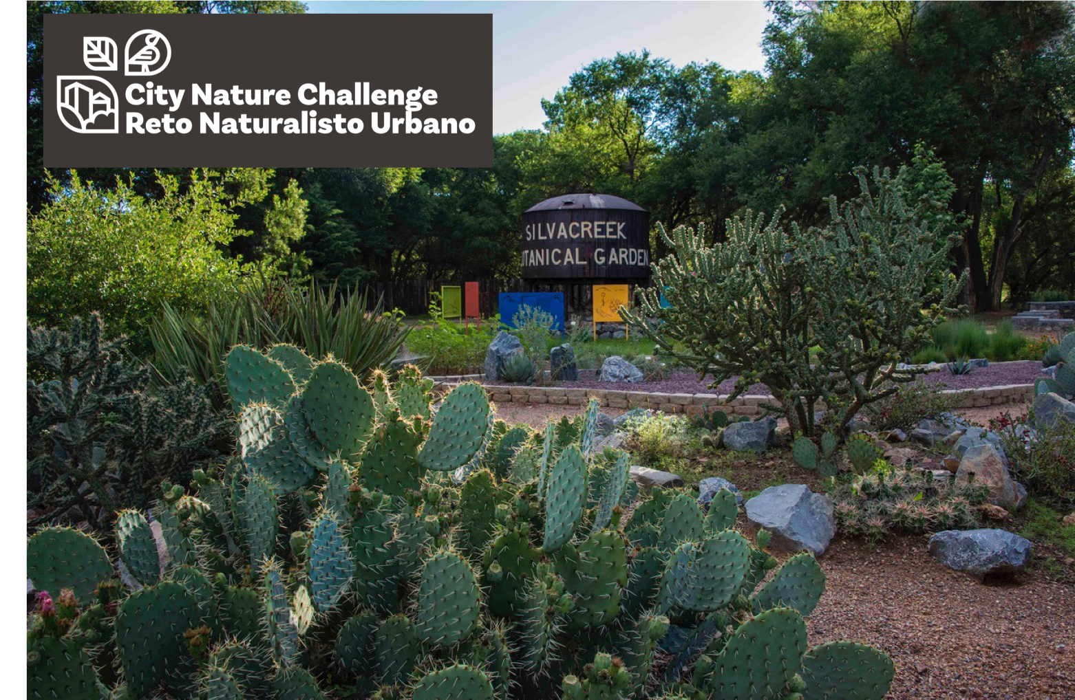 City Nature Challenge: Explore Silva Creek Botanical Garden and Waterworks