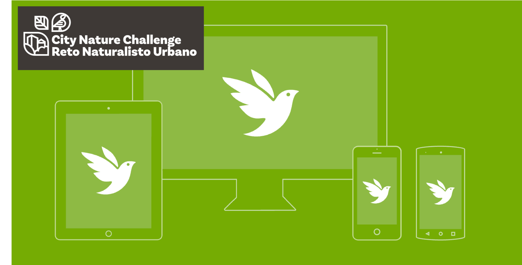 City Nature Challenge: Introduction to iNaturalist