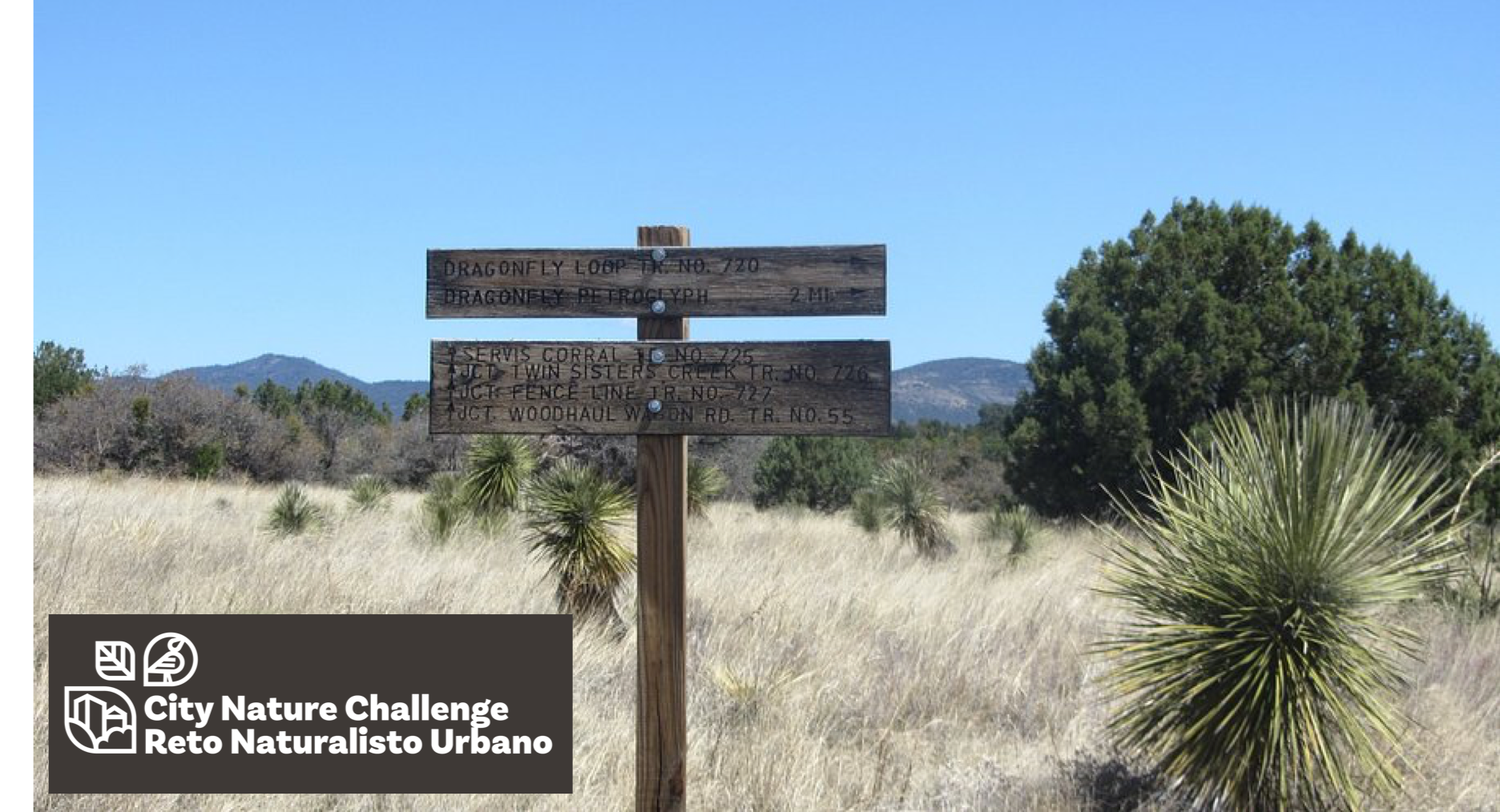 City Nature Challenge: Dragonfly Trail Hike