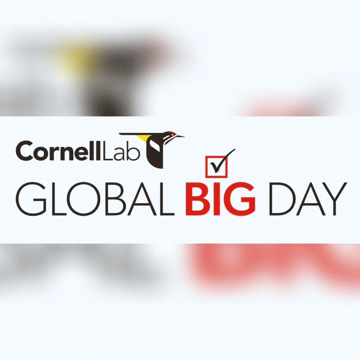 Global Big Day