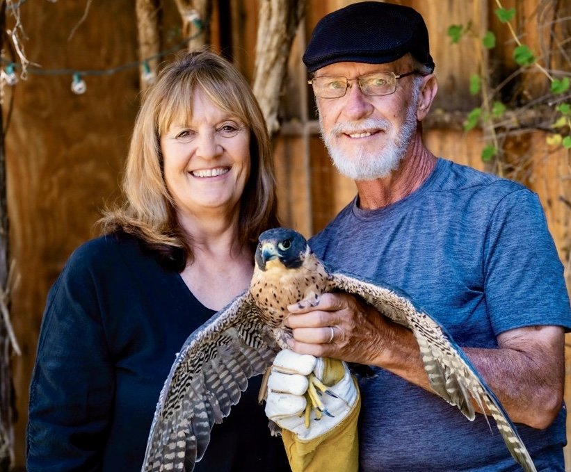 Program: Gila Wildlife Rescue