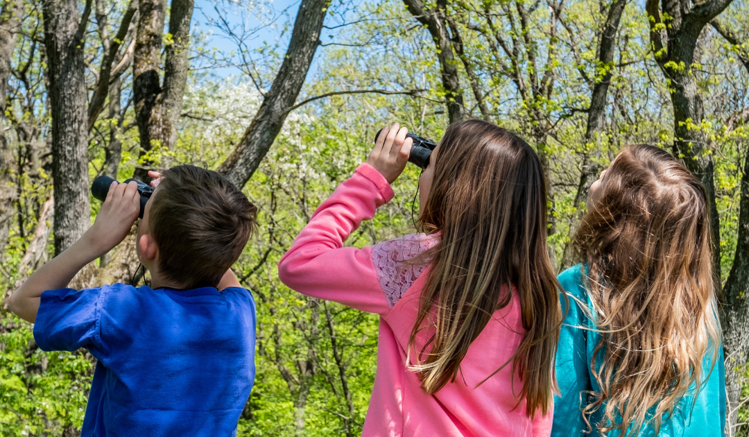 Kids’ Bird Walk
