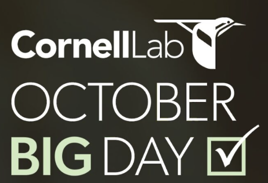 October Big Day