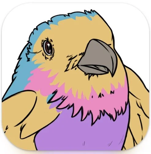Image of parrot