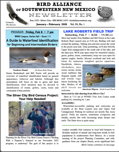 newsletter cover