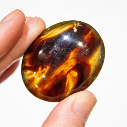 Palm Amber