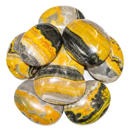 Palm Bumble Bee Jasper