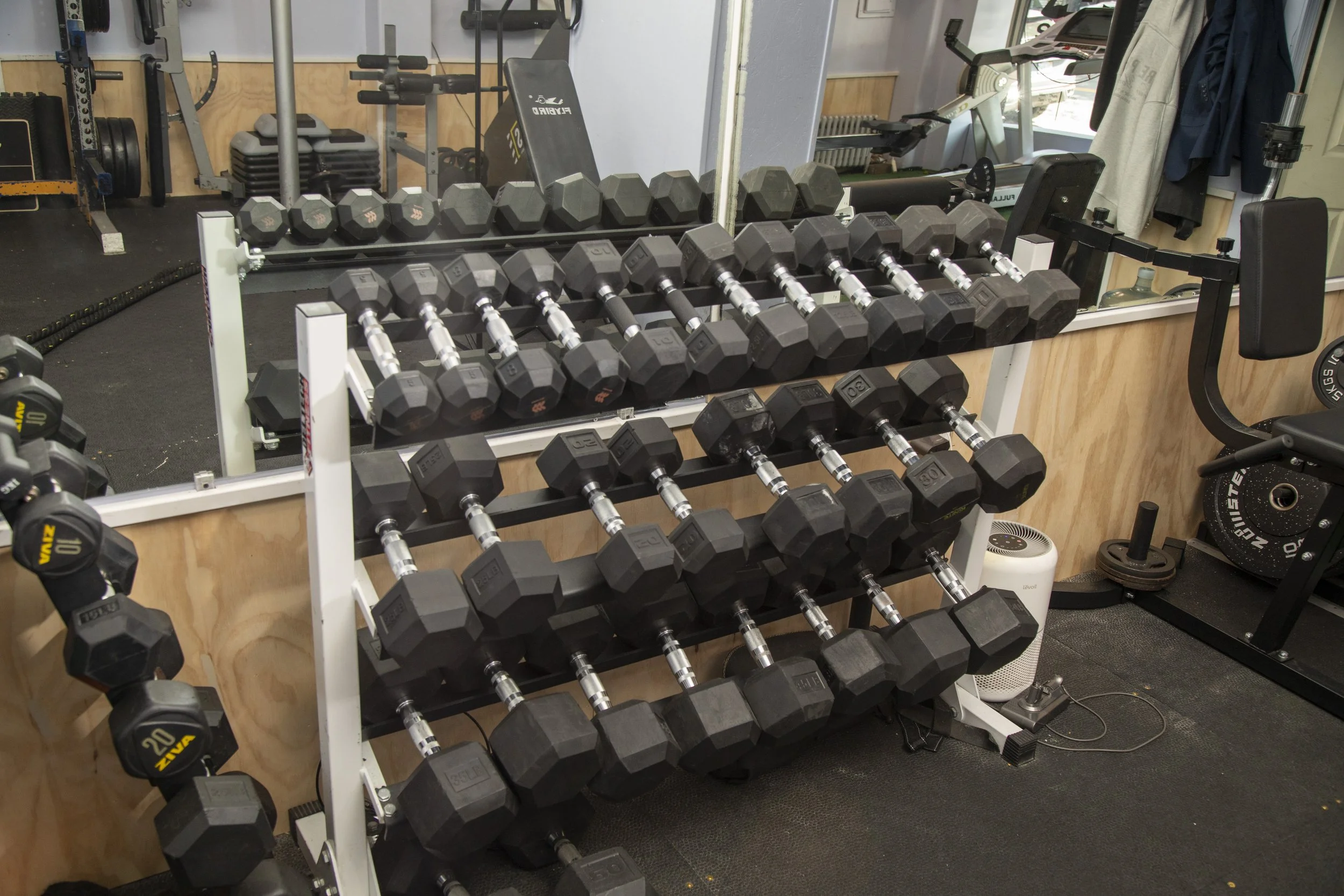 A set of black dumbbells arranged on a multi-tiered white rack in a gym, with other exercise equipment visible in the background.
