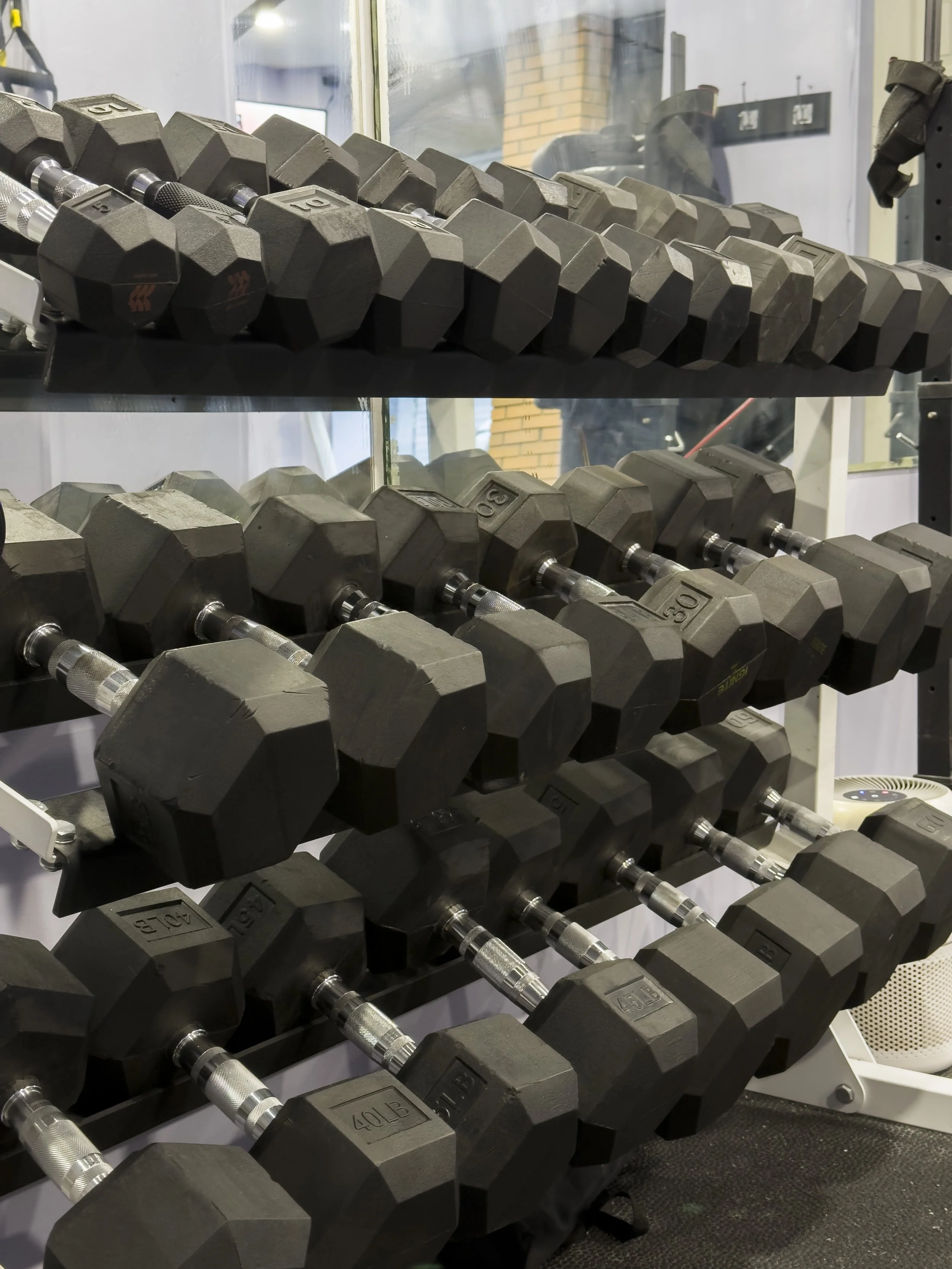 Rack of black hexagonal rubber-coated dumbbells on metal bars in a gym.
