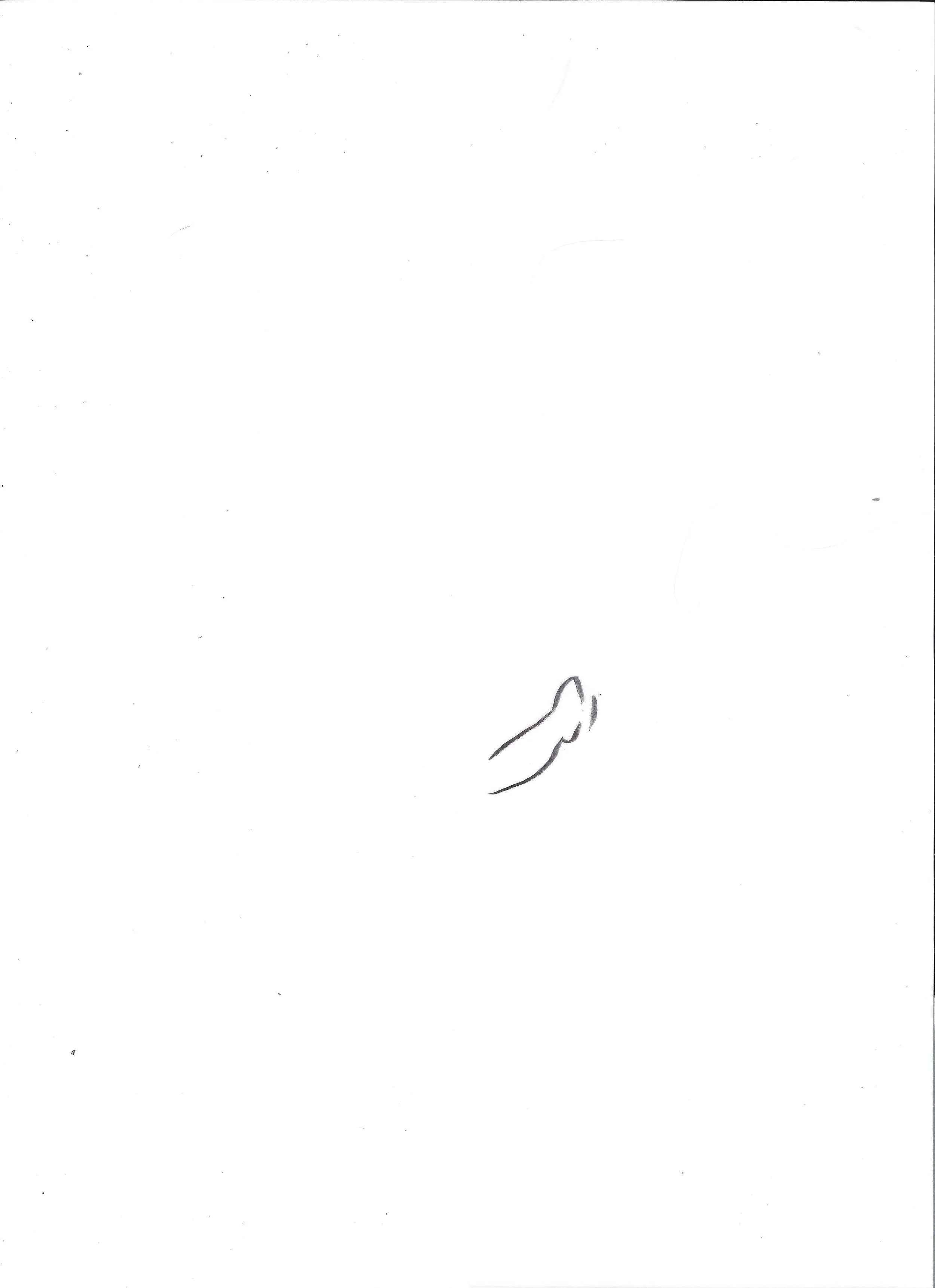 scan0154.jpg