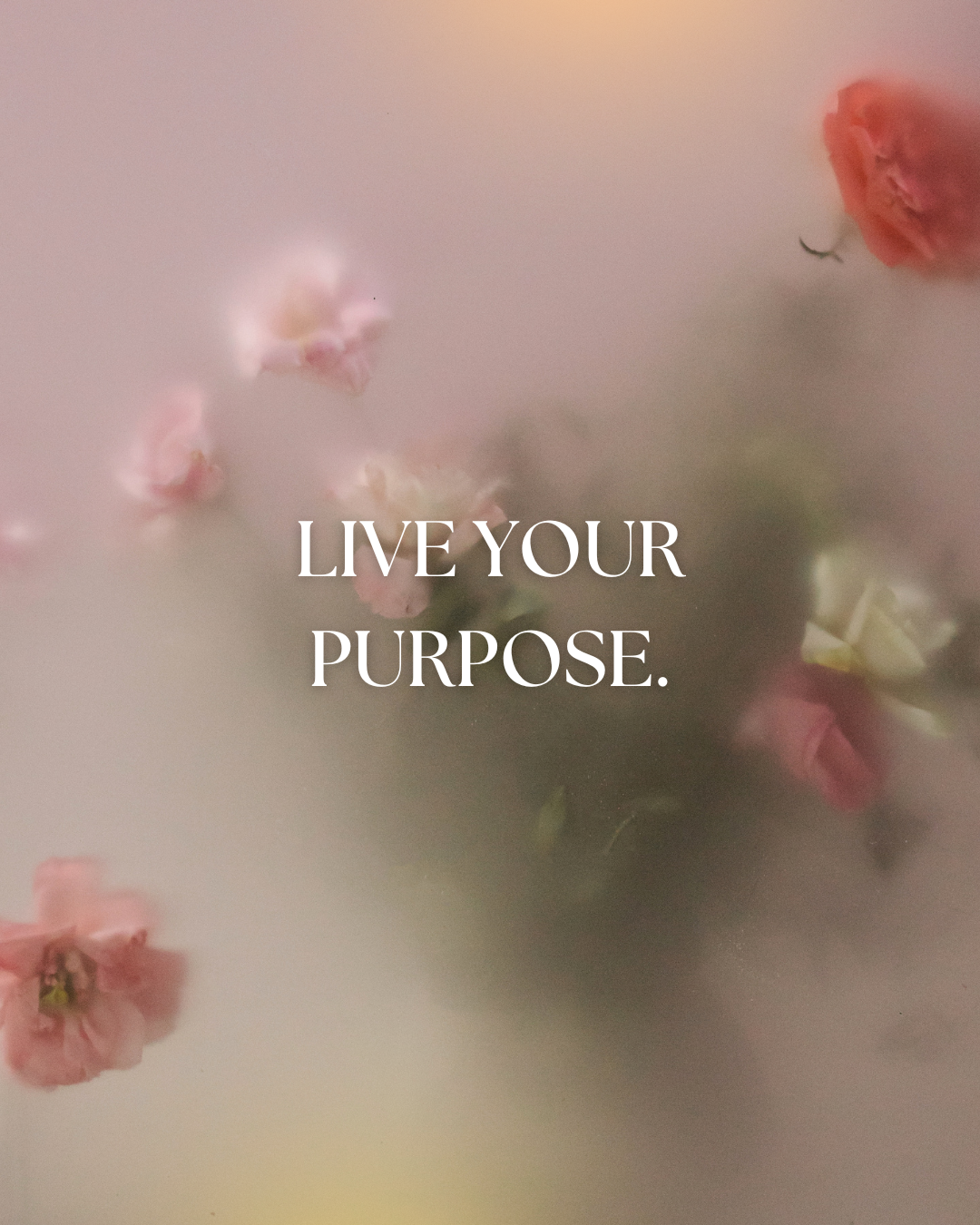 Pink Aesthetic Feminine Inspirational Motivational Quote Instagram Post.png