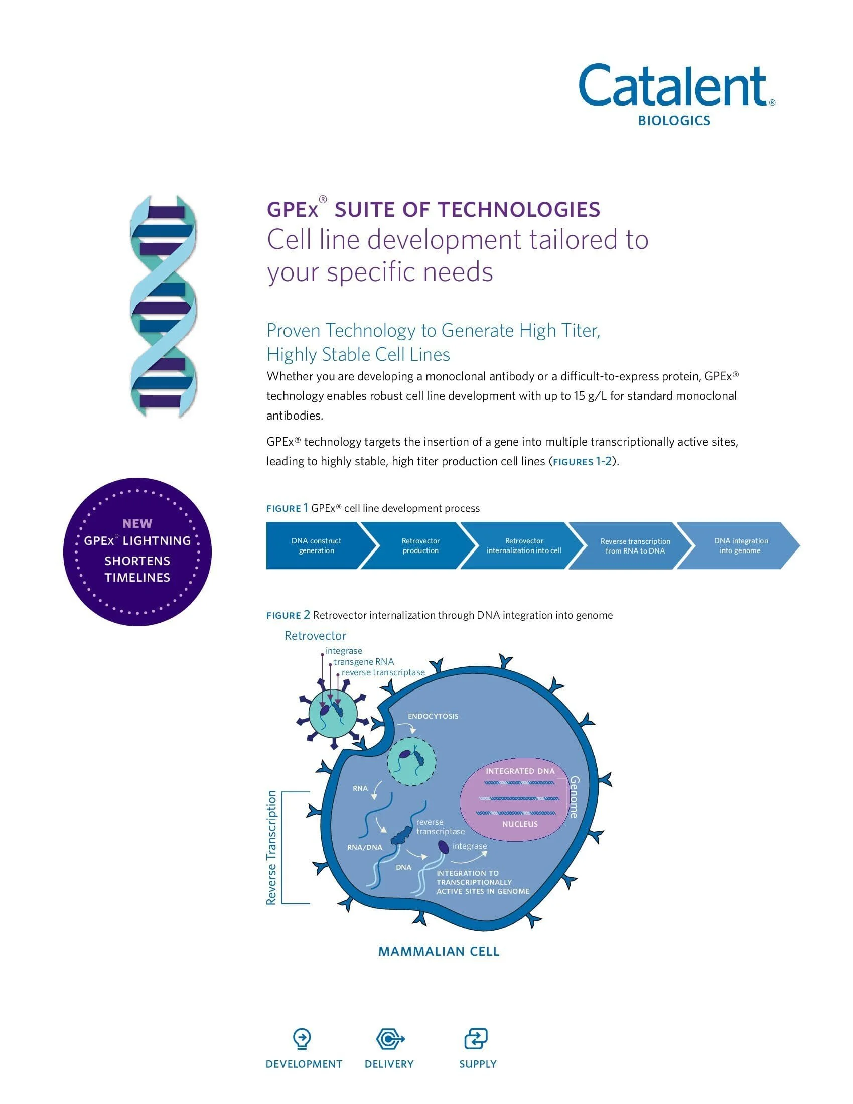 SS - GPEx Lightning_00001.jpg