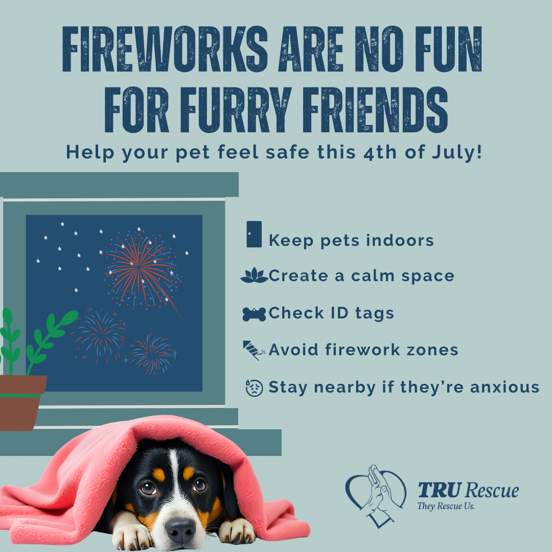 Firework safety.png