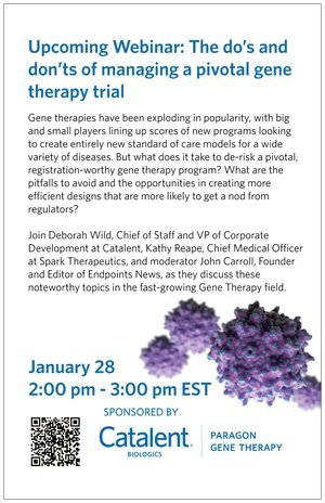 Deb Wild Flyer Back.jpg