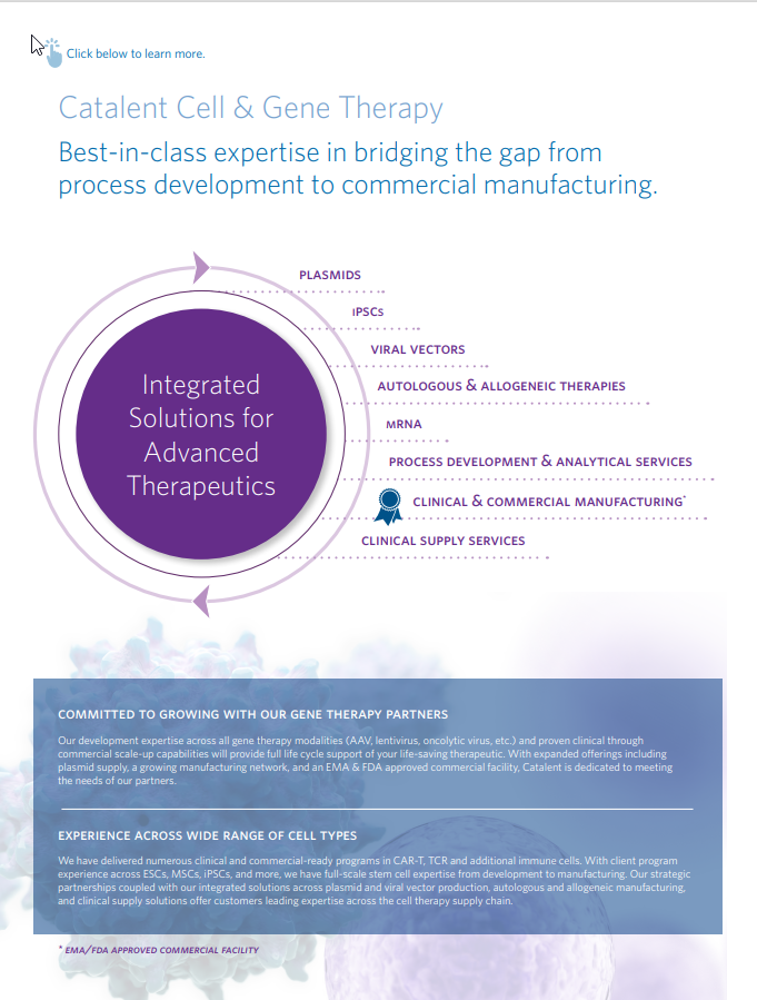 2024-05-16 13_39_56-Window.png