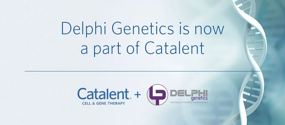 Carousel_960x420 copy.jpg