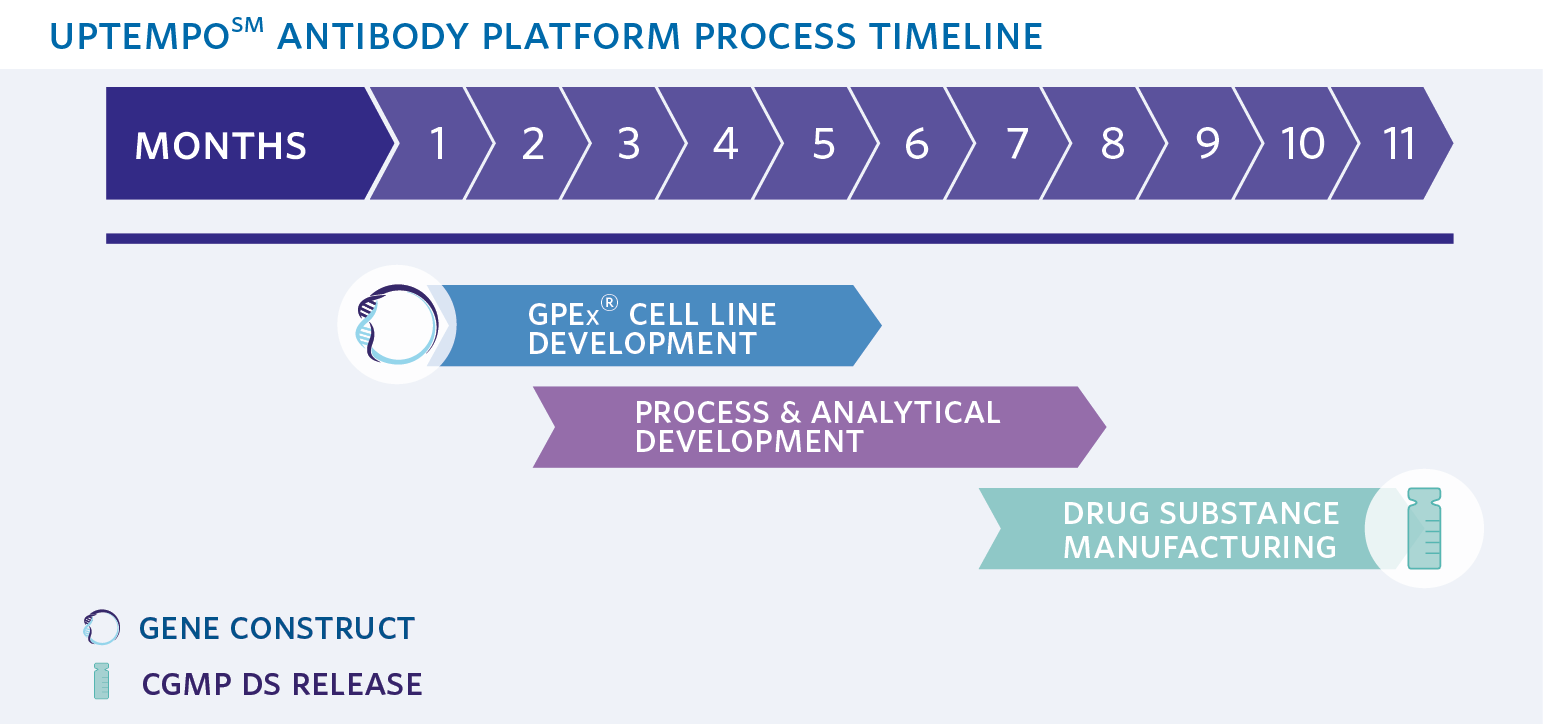 Uptempo-Antibody-Platform-Timeline-v2-01.png