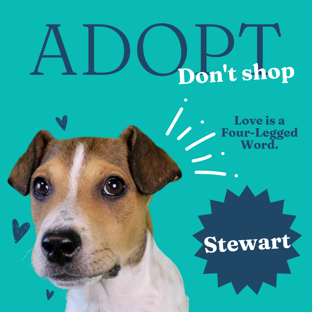 Valentines Event.png