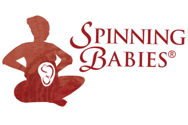 Spinning Babies® Birth / Body Preparation Workshop