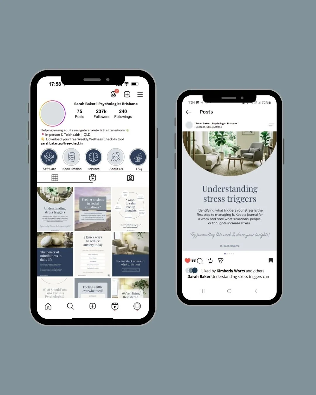 The Mental Health Launch & Social System for Therapists, Psycholgoists & Counsellors in Australia - Lilaco Designs