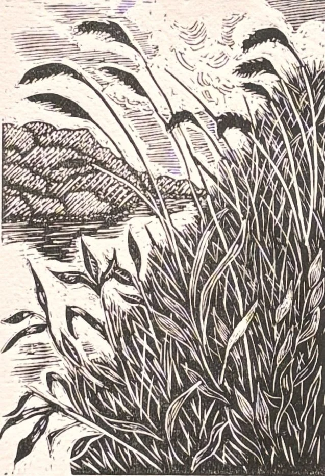Near Cherryburn