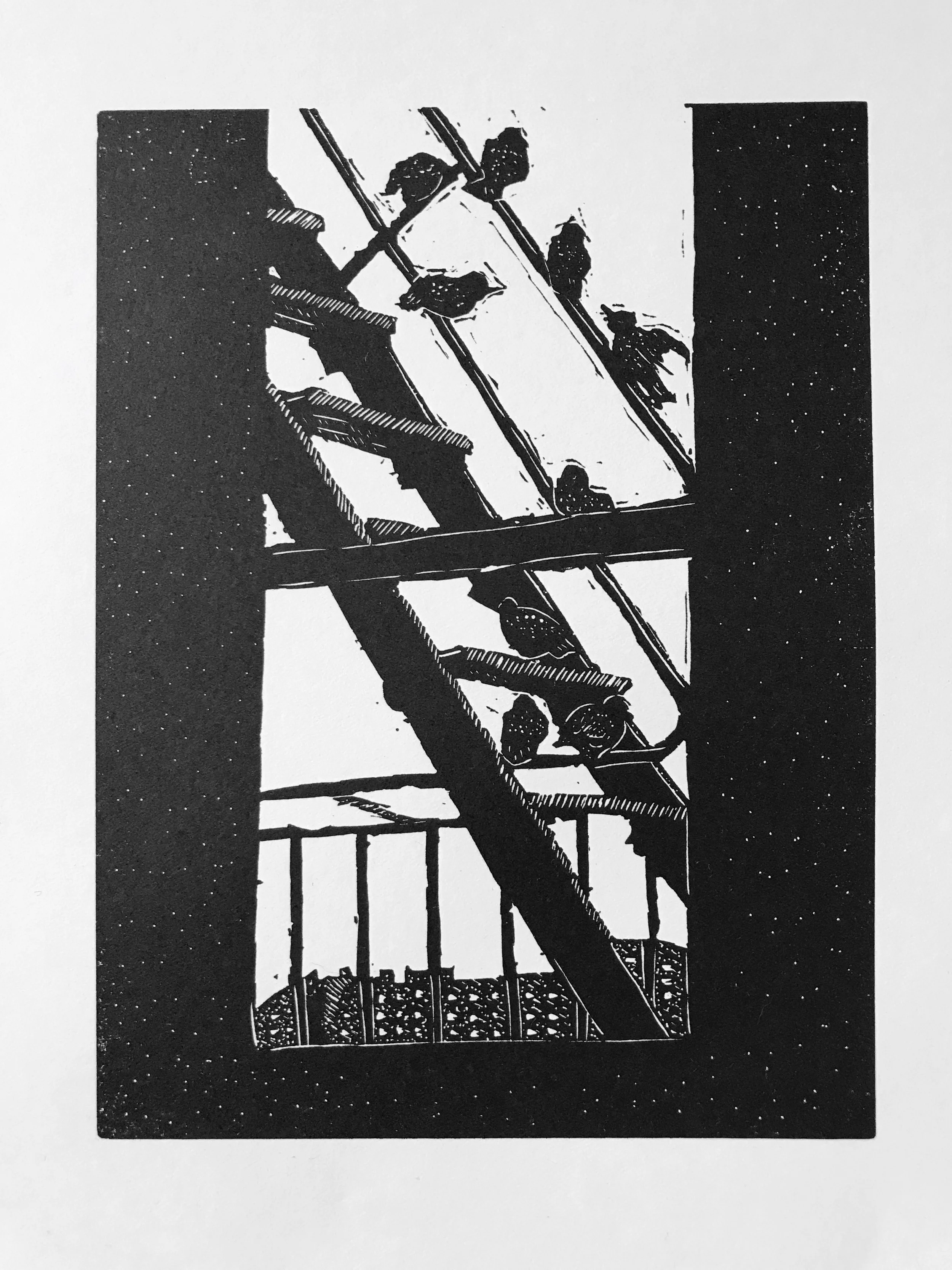 Mini-Murmuration