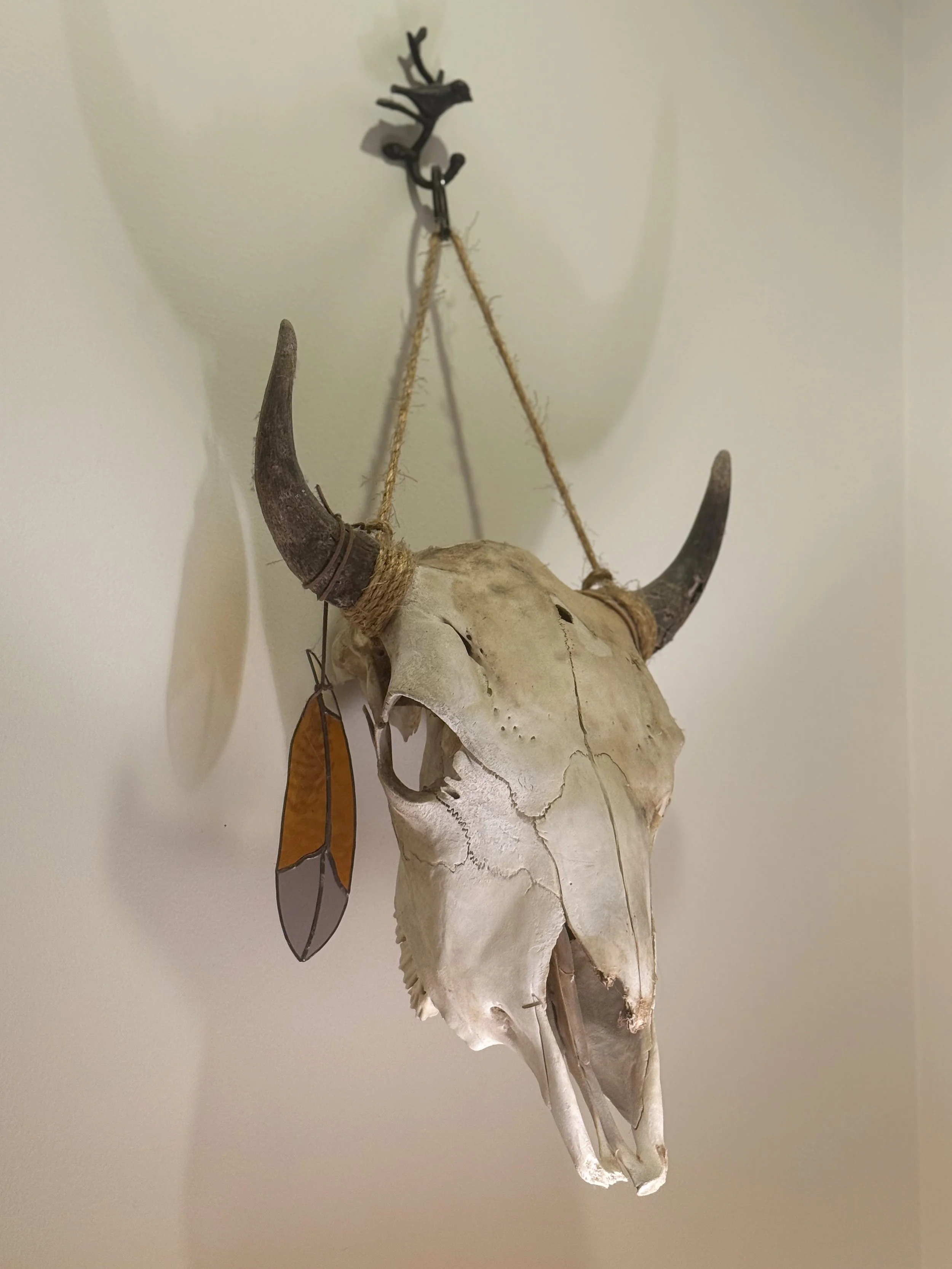 A mounted animal skull with horns hanging on a wall, with a decorative feather-shaped ornament attached nearby.