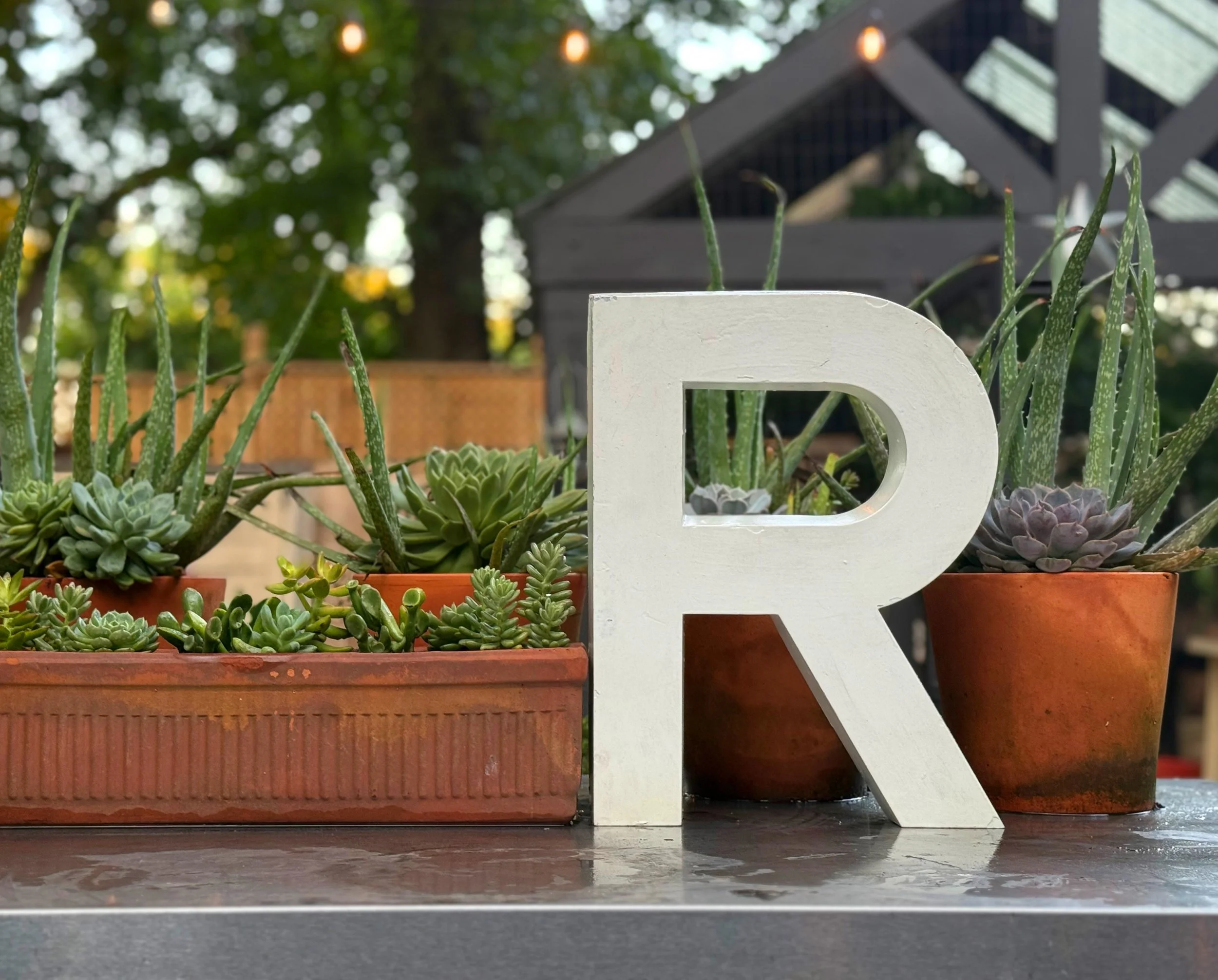 Potted succulents with a white letter 'R' decoration on a table outdoors.