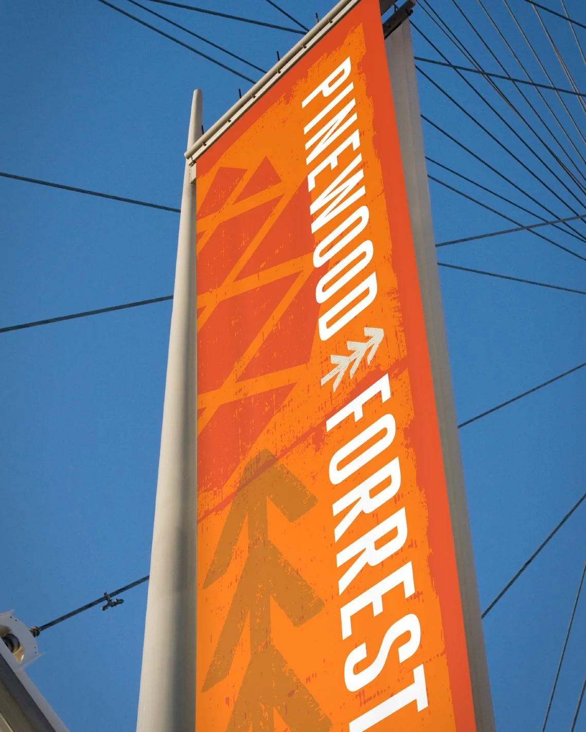 Pinewood banner_web.jpg
