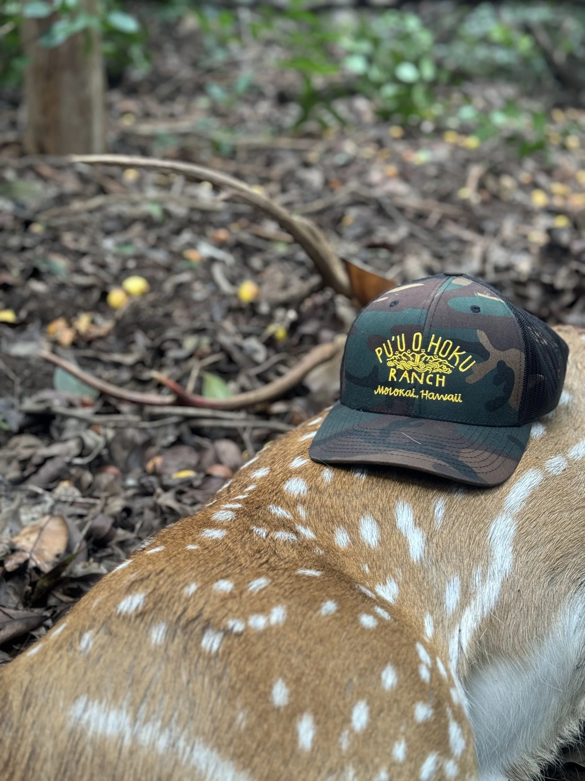 A Puu O Hoku Ranch cap resting on an axis deer hide