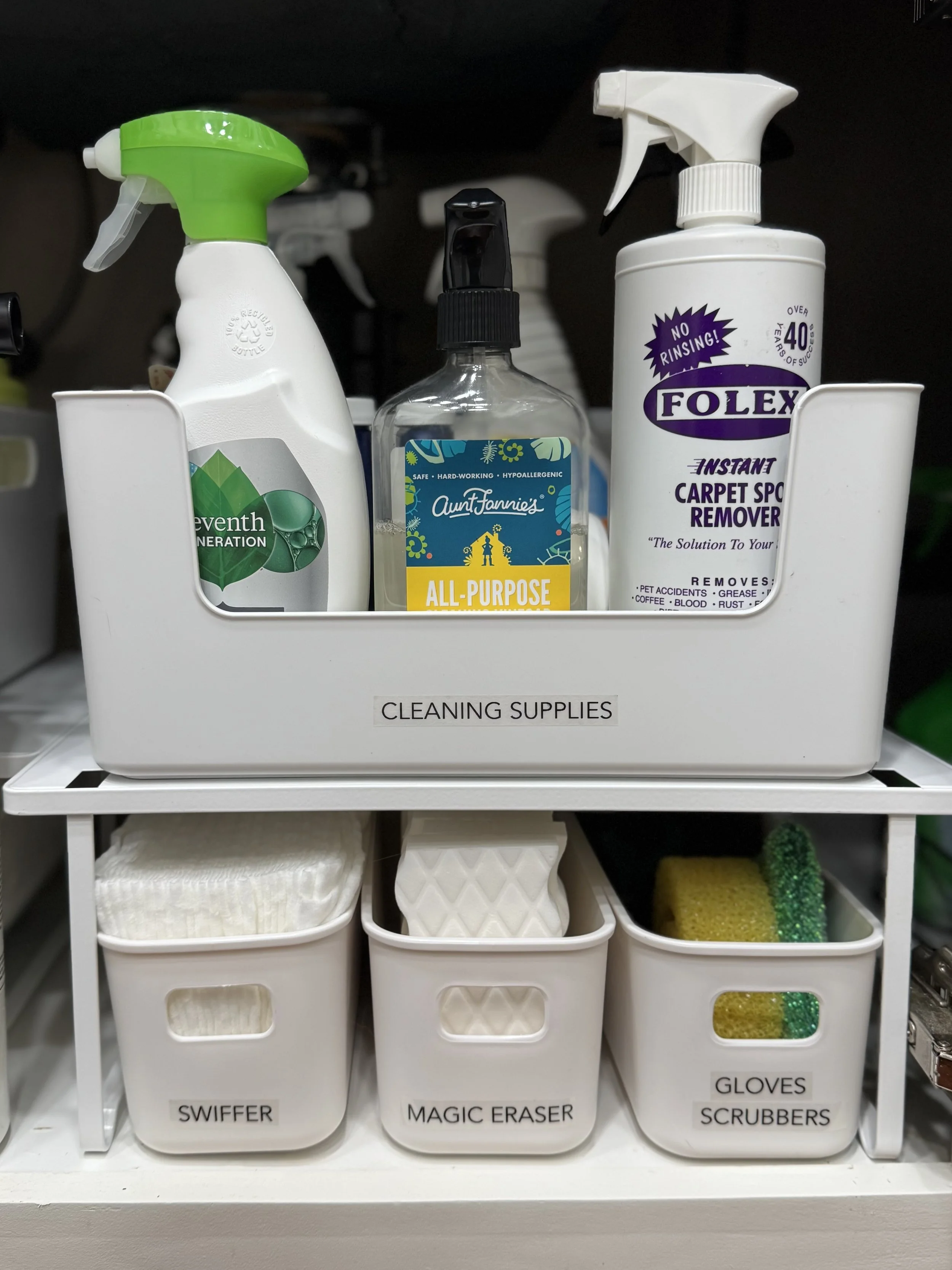 under kitchen sink cleaning supplies