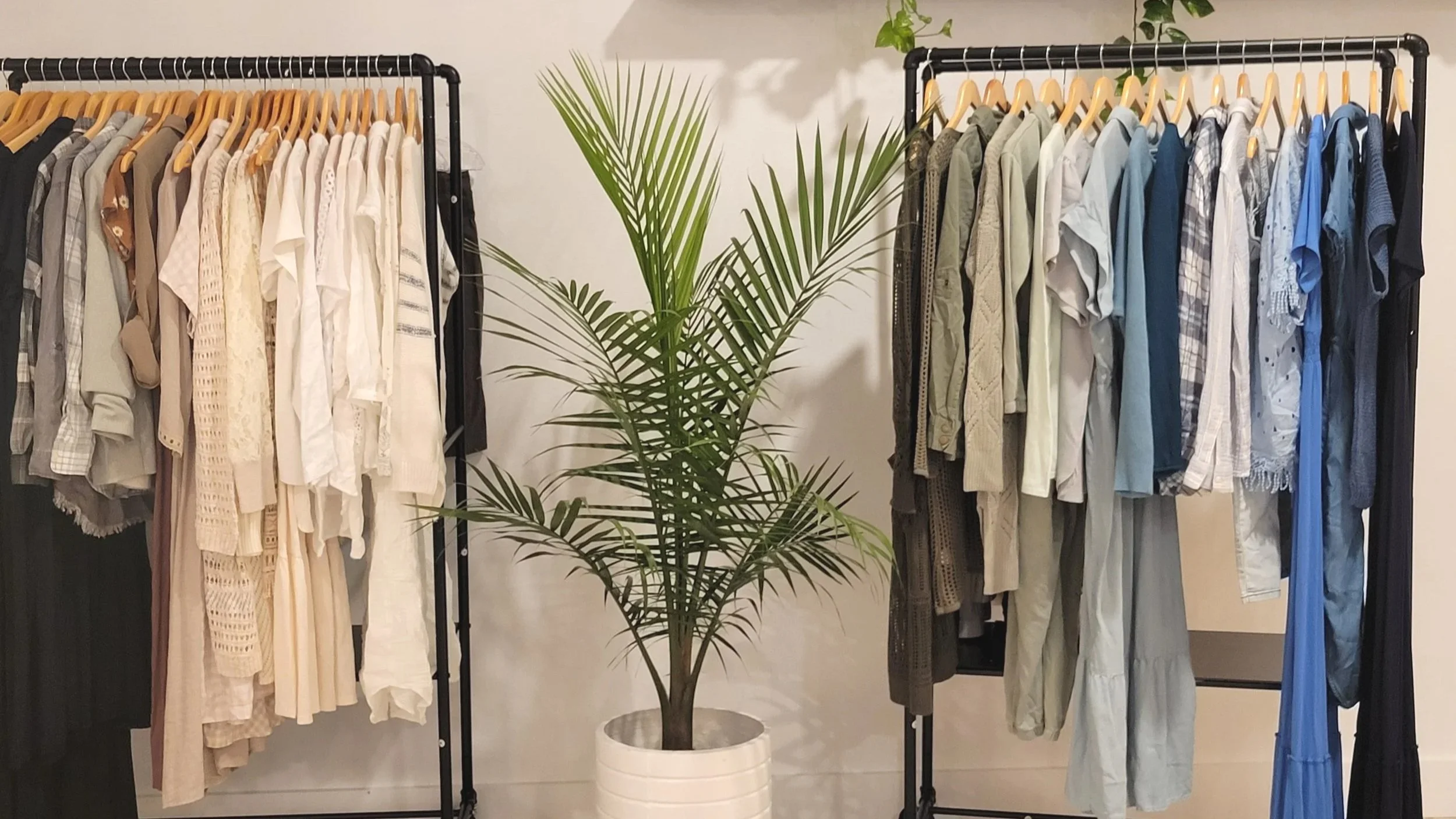 Clothing display with two racks of hanging shirts and pants, and a potted green palm plant in the center.