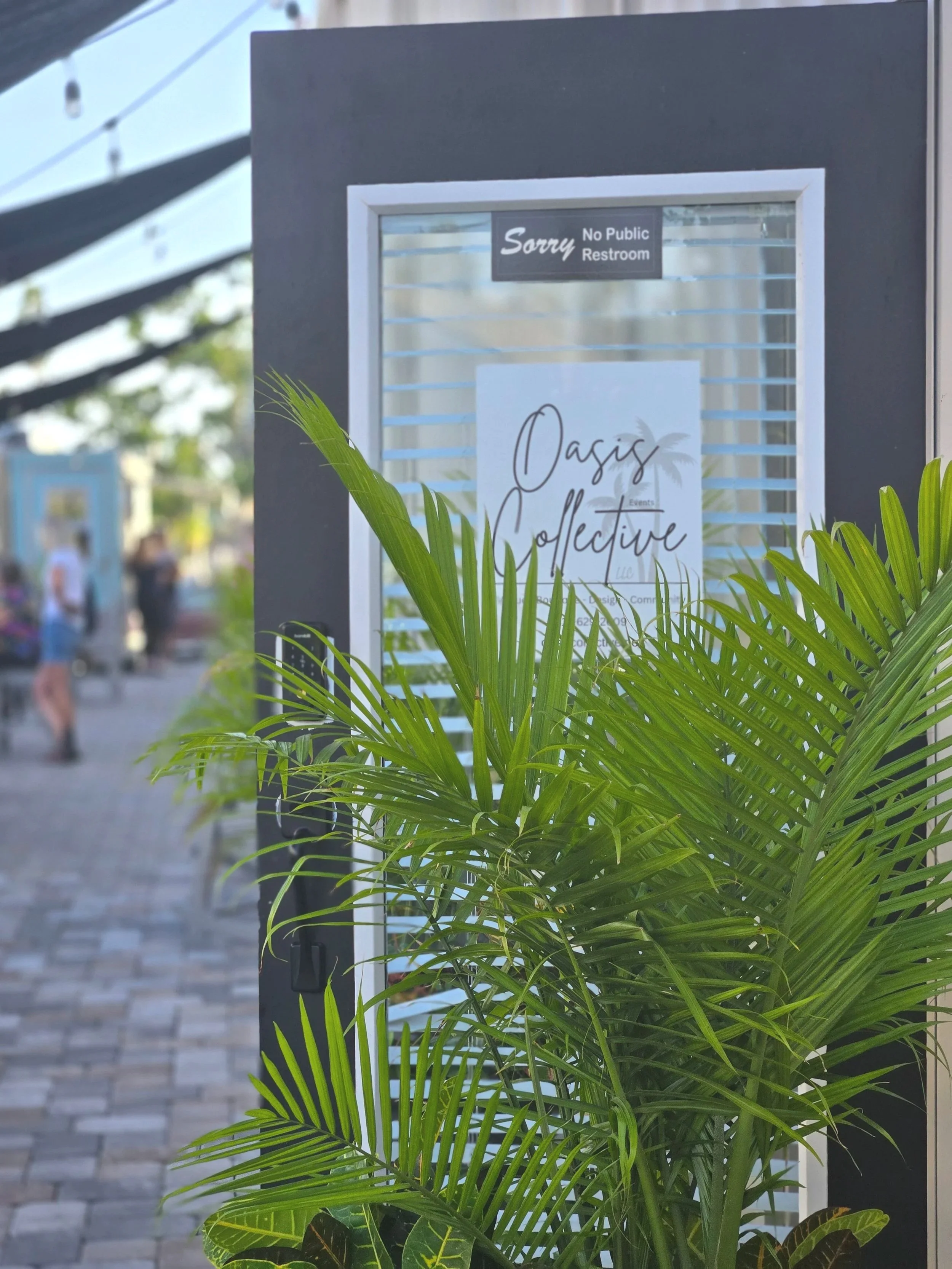 A sign for Oasis Collective, no public restroom, outdoors with a green palm plant in the foreground, and some people walking in the background.