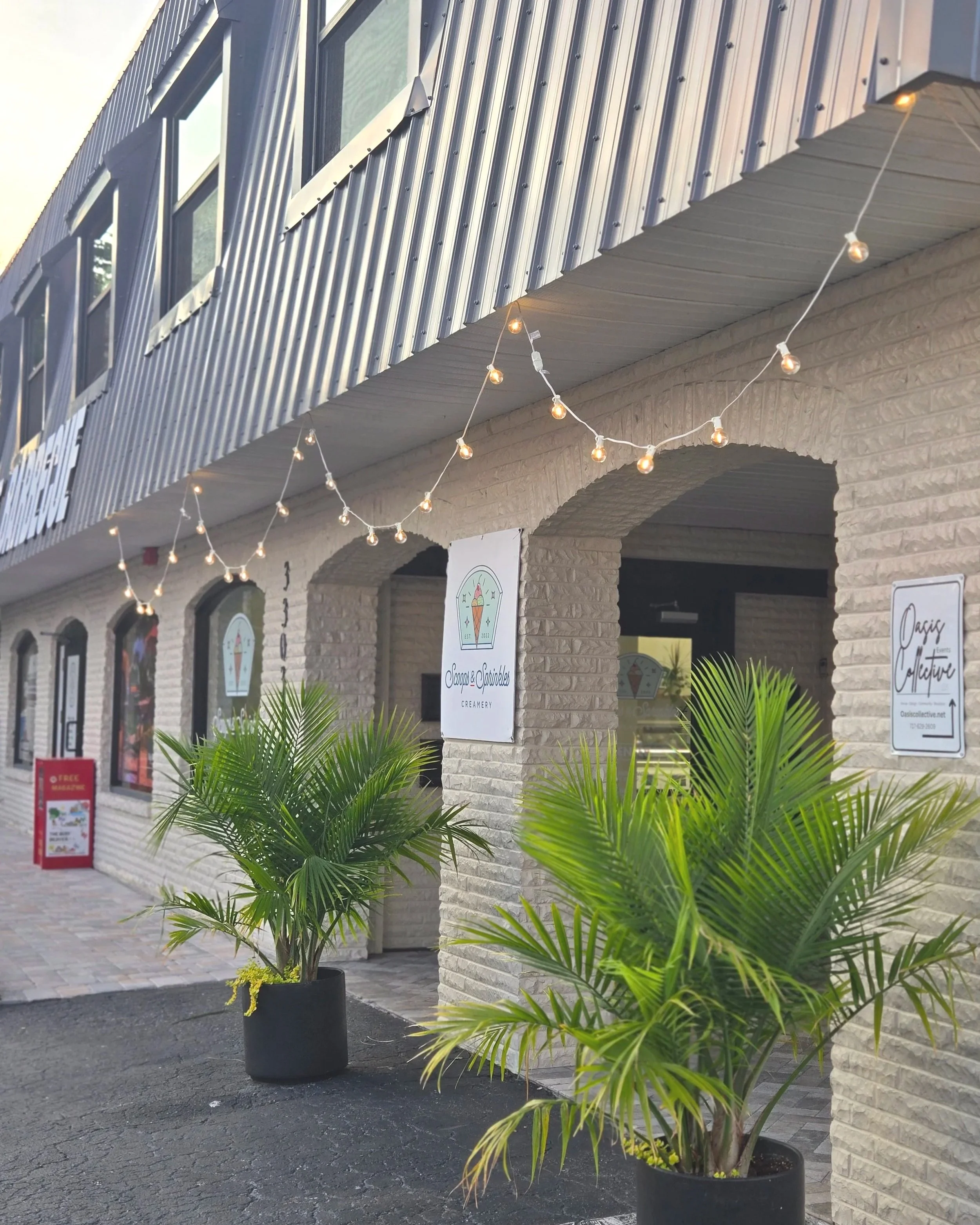 Exterior view of an ice cream shop with string lights, palm plants in pots, and signs on the wall.  Oasis Events Collective LLC is on the back side of the building in Sarasota FL.  Venue for baby shower, bridal shower, grad party, birthday party.