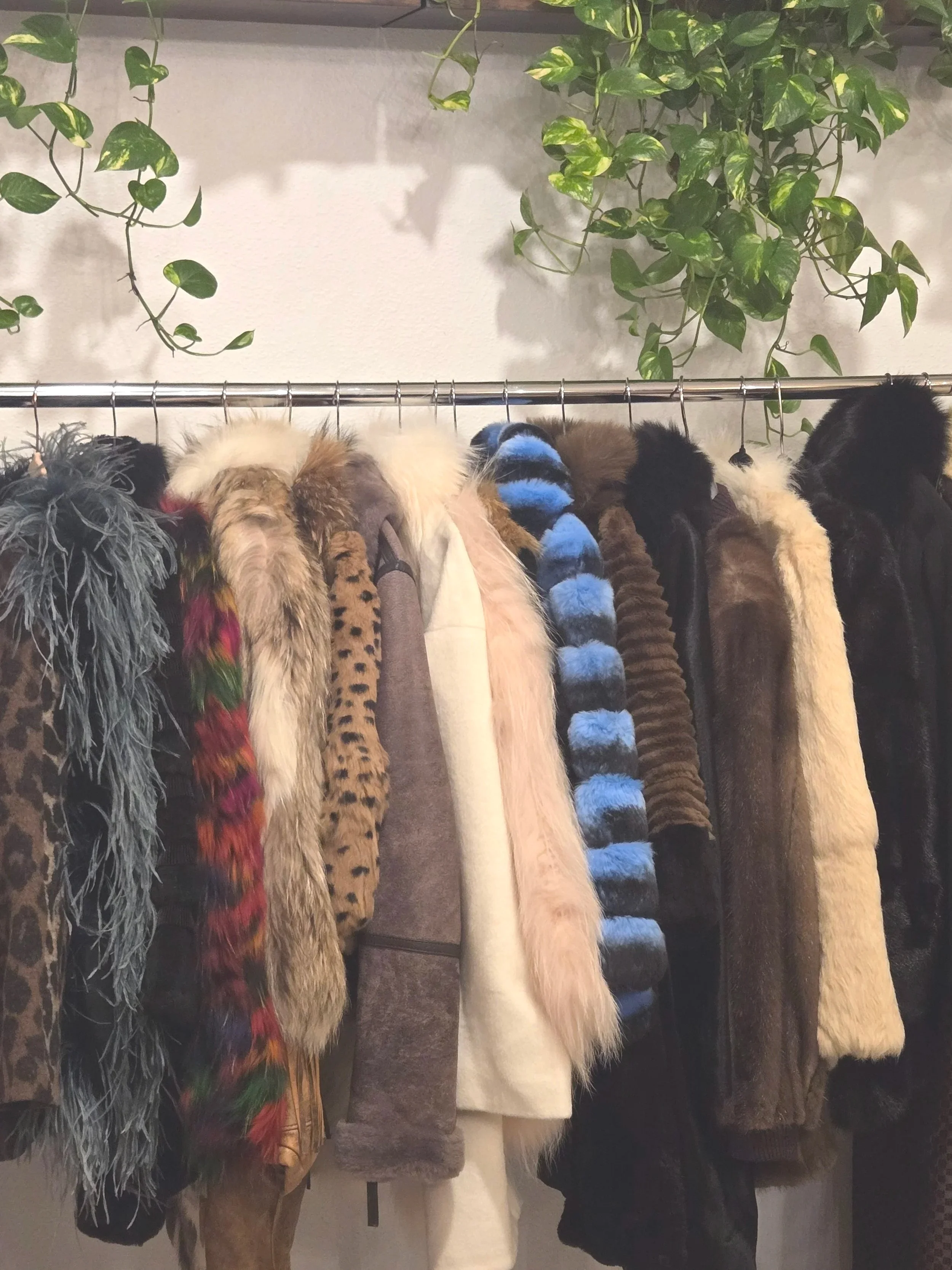 Pop-up shop and vendor events at Oasis Events Collective in Sarasota
