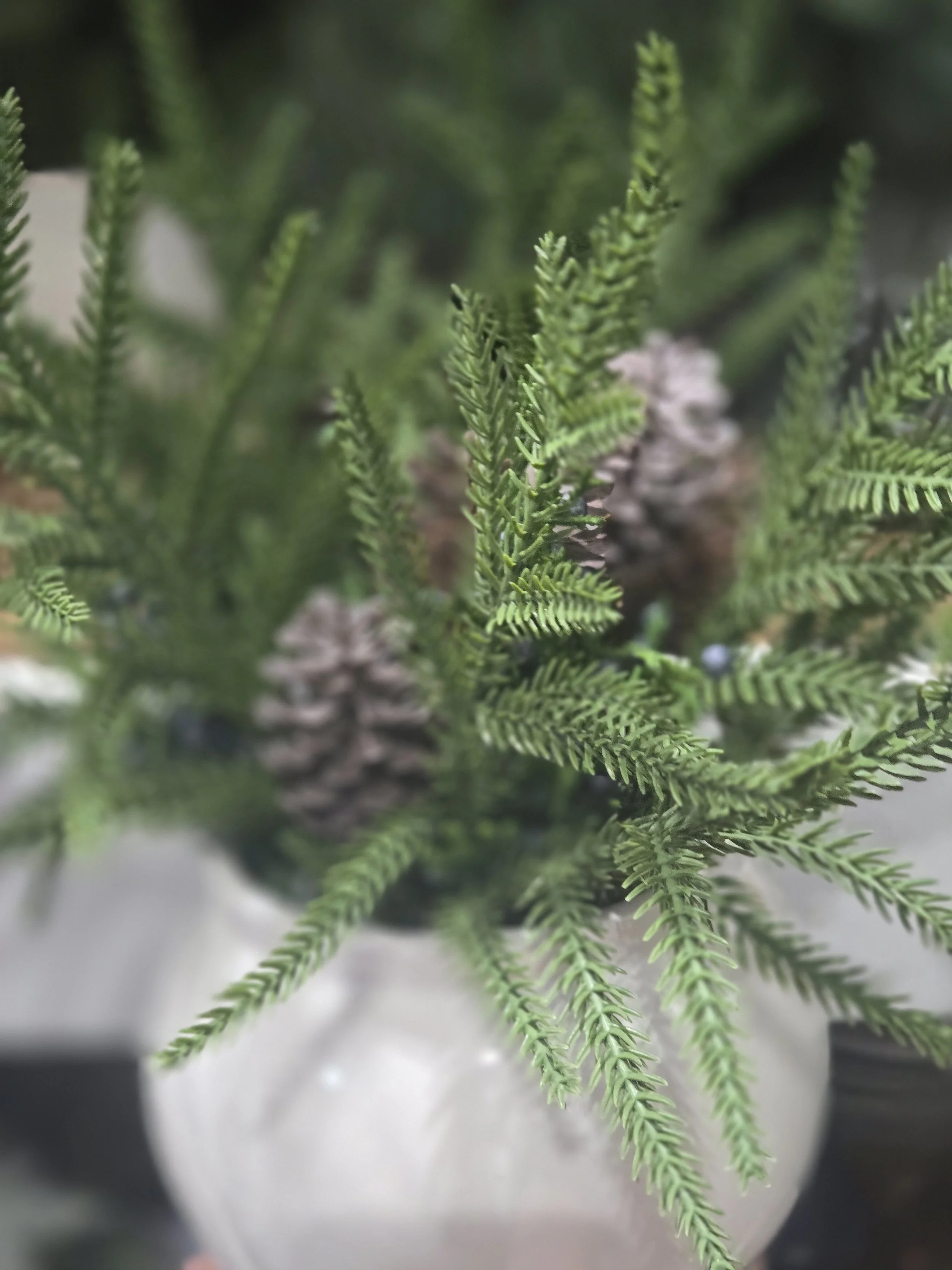 Christmas Greens for your party at Oasis Events Collective in Sarasota, FL. Intimate Venue for baby shower, Christmas party, bridal shower