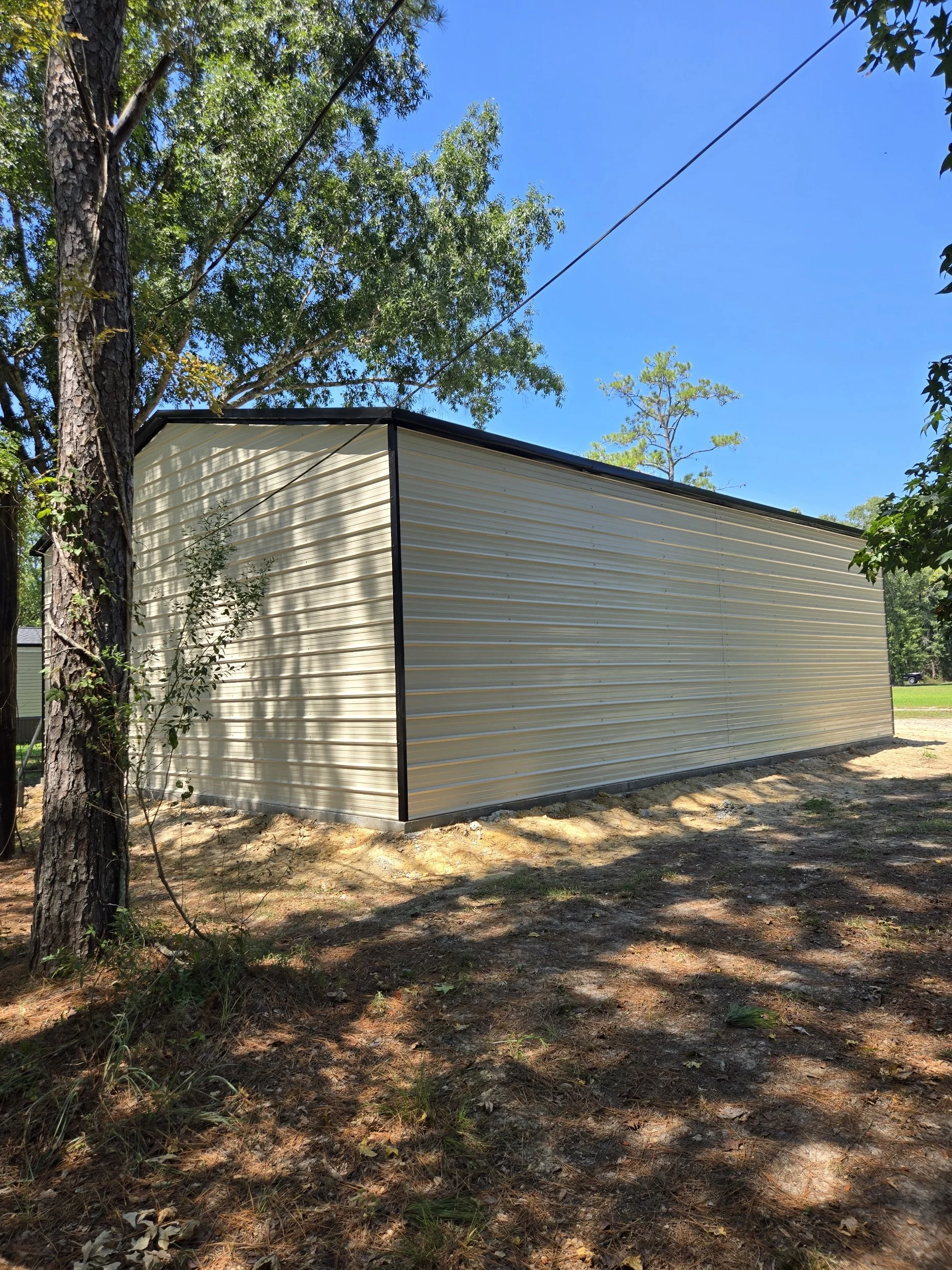 A beige metal shed with black trim situated on bare ground beneath tall trees on a sunny day with a bright blue sky.