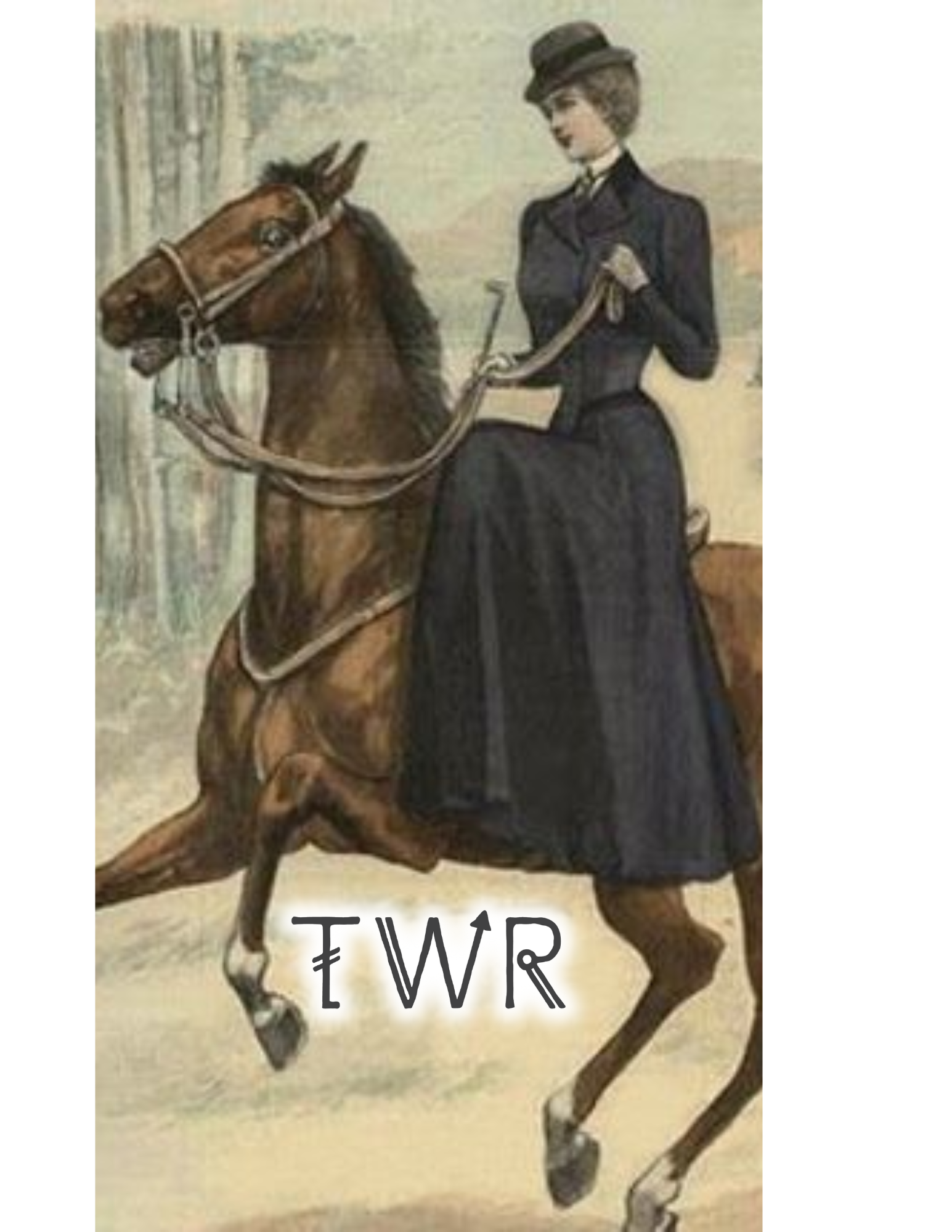 Copy of TWR Ornaments.png