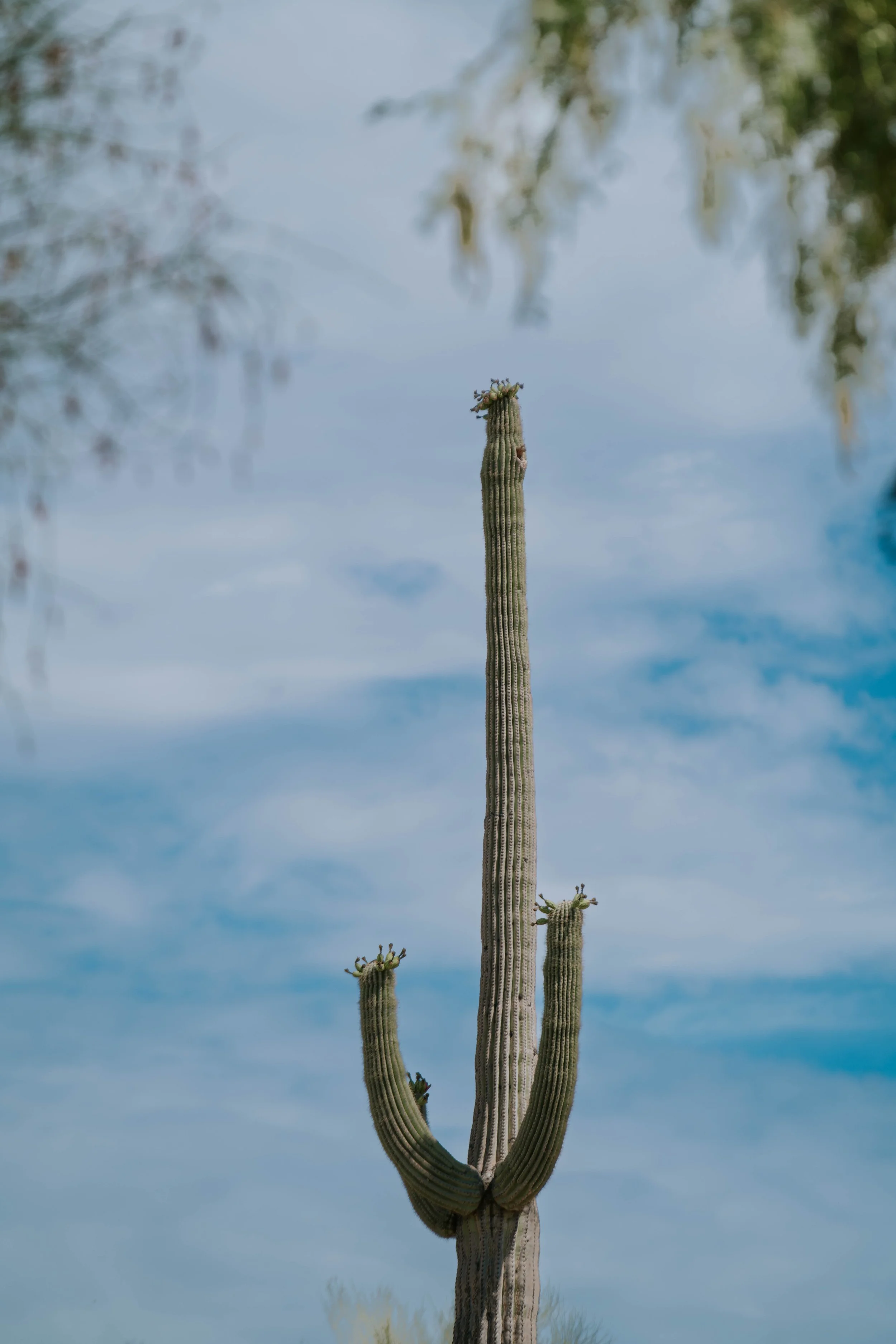 AZ Under 30 We Ko Pa-162.JPG